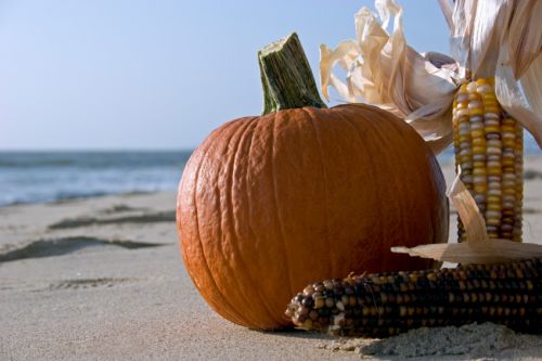 Pumpkin on a beach